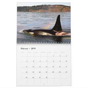 BC Wale Kalender
