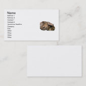 BCI Visitenkarte (Vorne/Hinten)