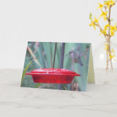 BD, erhalten Summenvogel "wohle" Karte (Gelbe Blume)