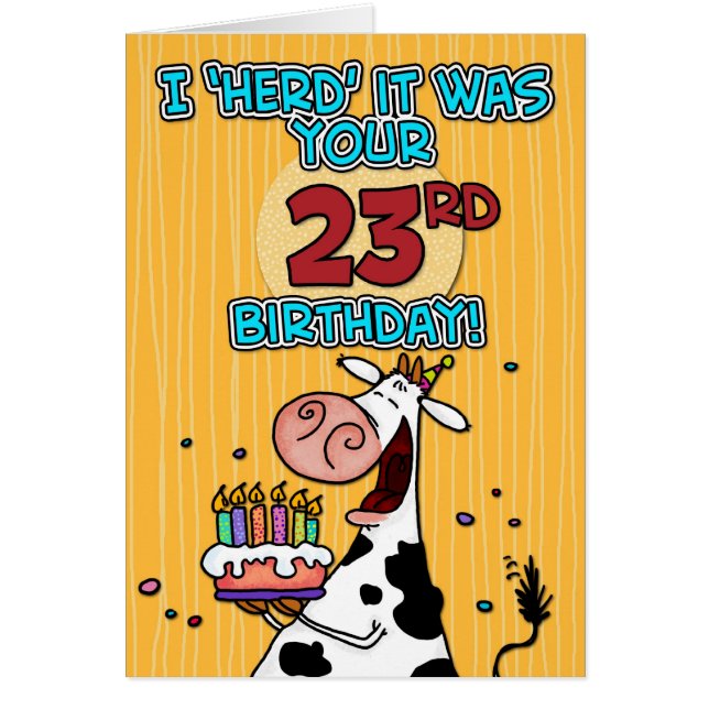 BD schüchtern - 23 ein (Vorne)