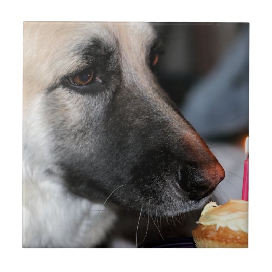 BDAY GSD FLIESE (Vorderseite)