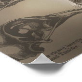 Be Charles Darwin Poster (Ecke)