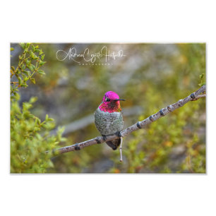 Be-Jeweled 1 Fotodruck
