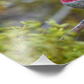 Be-Jeweled 1 Fotodruck (Ecke)