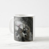Be Like A Cat. Live On Your Terms. Cat Coffee Mug Kaffeetasse (Vorderseite Links)