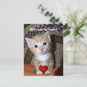 Be Mine Kitten Postkarte (Stehend Vorderseite)