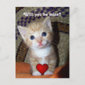 Be Mine Kitten Postkarte (Vorderseite)