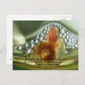 Be not afraid of growing slowly, be a. postkarte (Vorne/Hinten)