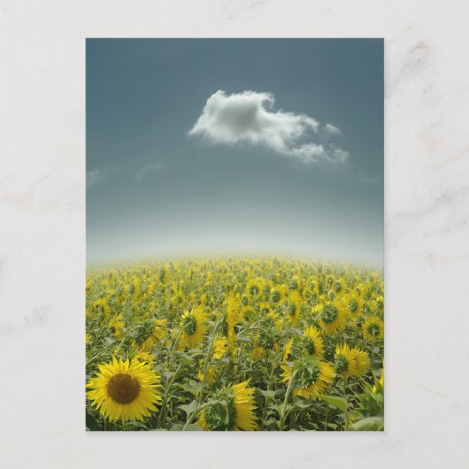 Be Unique Postkarte (Vorderseite)