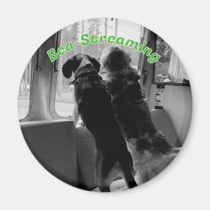 Bea-Streaming-Hunde-Magnet Magnet