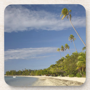 Beach and palm trees, Plantation Island Resort Getränkeuntersetzer
