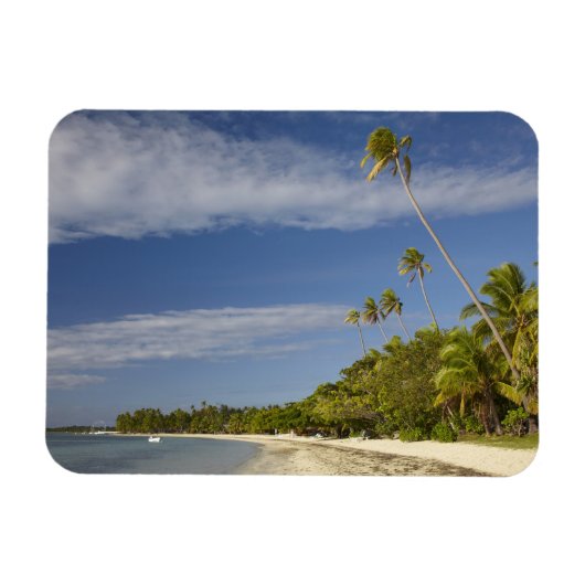 Beach and palm trees, Plantation Island Resort Magnet (Horizontal)
