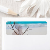 Beach-and-Sea-Concept Beach Beauty-Blue-Karibik (Insitu)