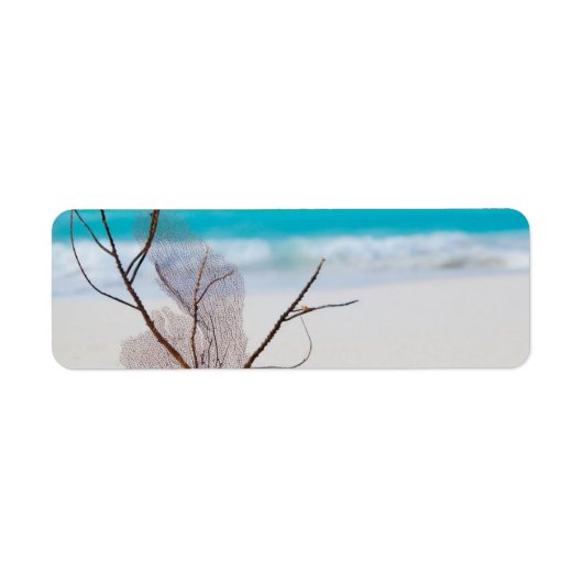 Beach-and-Sea-Concept Beach Beauty-Blue-Karibik (Vorne)