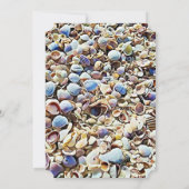Beach and Seashells Hochzeitseinladungen Einladung (Rückseite)