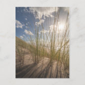 Beach and Sun Nature Foto Postkarte (Vorderseite)