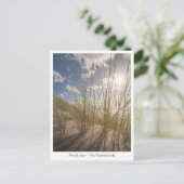 Beach and Sun Nature Foto Postkarte (Stehend Vorderseite)