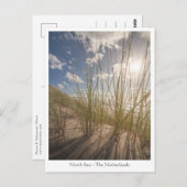 Beach and Sun Nature Foto Postkarte (Vorne/Hinten)