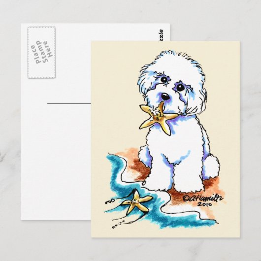 Beach Babe Bichon Frise Postkarte (Vorne/Hinten)