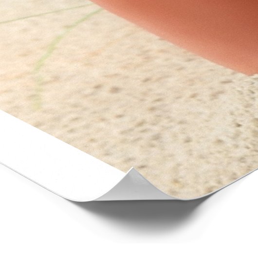 Beach Babe Poster (Ecke)