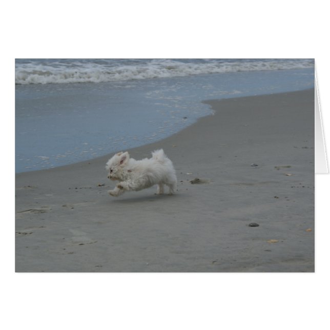 Beach Baby (Vorderseite (Horizontal))