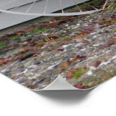 Beach Bicycle Poster (Ecke)