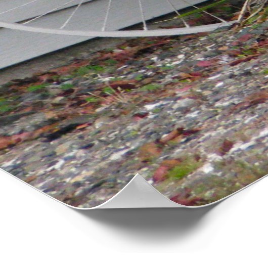 Beach Bicycle Poster (Ecke)