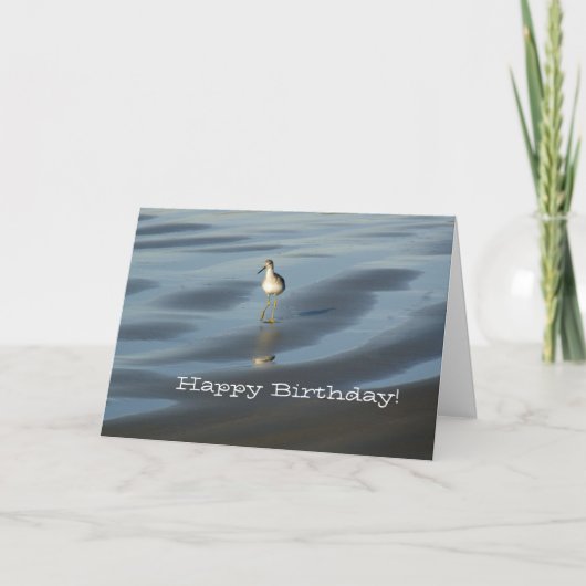 Beach Bird Happy Geburtstag 1 Karte (Vorderseite)