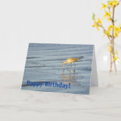 Beach Bird Happy Geburtstag 3 Karte (Gelbe Blume)