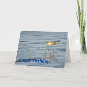 Beach Bird Happy Geburtstag 3 Karte