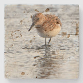 Beach Bird Photo Stone Coaster Steinuntersetzer (Vorderseite)