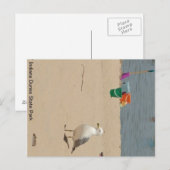 Beach Birdie Postkarte (Vorne/Hinten)