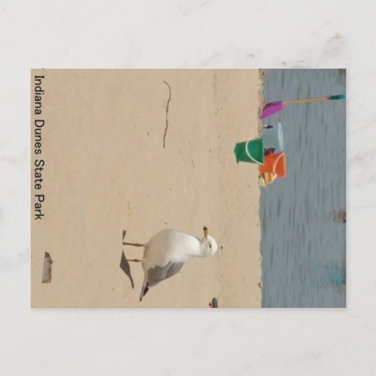 Beach Birdie Postkarte (Vorderseite)