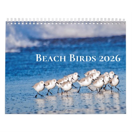 Beach Birds Fotografie Kalender (Titelbild)