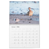 Beach Birds Fotografie Kalender (Jan 2026)