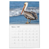 Beach Birds Fotografie Kalender (Feb 2027)
