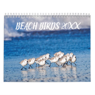 Beach Birds Fotografie Kalender