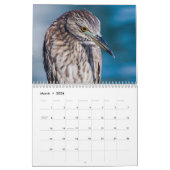 Beach Birds Fotografie Kalender (Mär 2026)