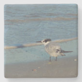 Beach Birds Untersetzer (Vorderseite)