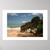 Beach Bliss - Pohutukawa Tree Poster (Vorne)