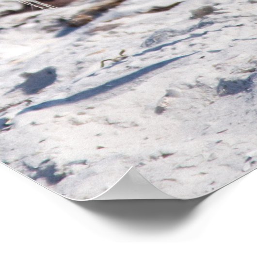 Beach-Bum Heron Poster (Ecke)