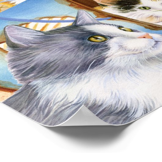 Beach Bum Kittens Poster (Ecke)