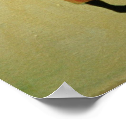 Beach Bums 1997 Poster (Ecke)