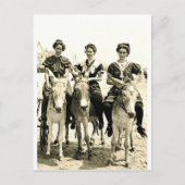 Beach Burros Postkarte (Vorderseite)