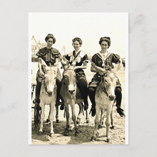 Beach Burros Postkarte (Vorderseite)