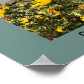 Beach Camano Island Washington Fotograf Poster (Ecke)