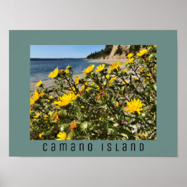 Beach Camano Island Washington Fotograf Poster