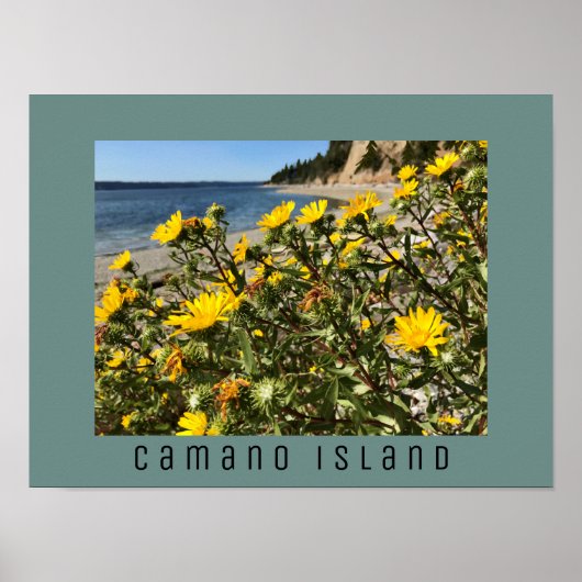 Beach Camano Island Washington Fotograf Poster (Vorne)
