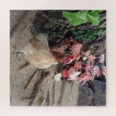 Beach Chick Puzzle (Horizontal)