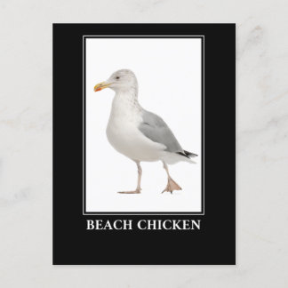 Beach Chicken - Seagull Gull Spaß Postkarte